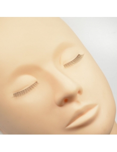 Eyelashes training eyelash extensions 2