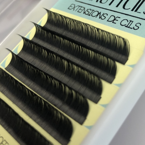 Extension De Cils Volume Russe